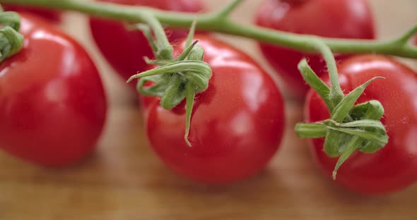 Fersh and Healthy Tomatoes alt