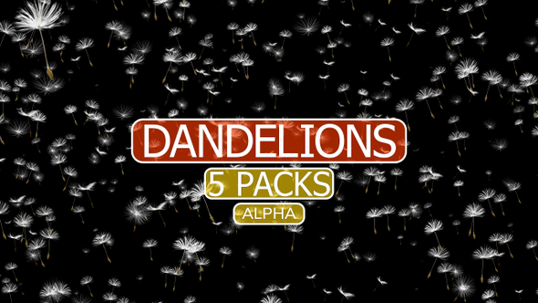 Dandelion Vol.1