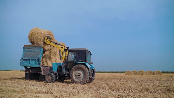 Tractor Machine Loading Hay Bales Truck Trailer During Agriculture Works alt