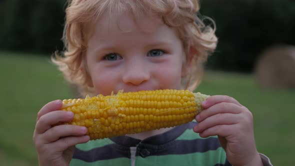 Cute child with curly blonde hair eating corn on the cob outdoor