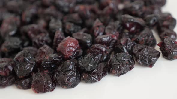 Healthy Vaccinium oxycoccos on  pile 4K 2160p 30fps UltraHD panning  footage - Dehydrated cranberrie alt