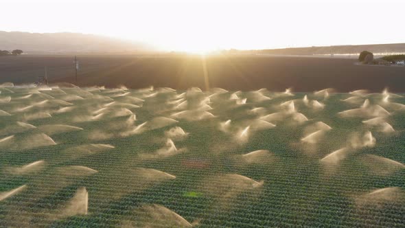 Summer Harvest Season. Countryside Landscape with Sunset Over the Horizon.  alt