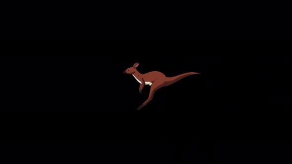Running australian kangaroo long shot alpha matte animation 4K