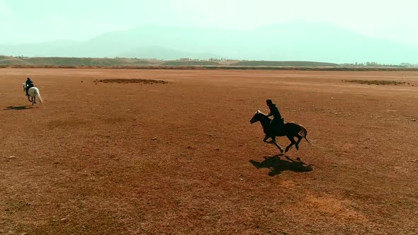 Horses galloping, slowmotion. alt