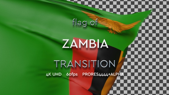 Flag of Zambia transition | UHD | 60fps alt