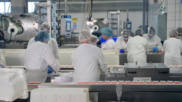 Factory Workers in Protective Clothing Packing Food. Female Employees ...