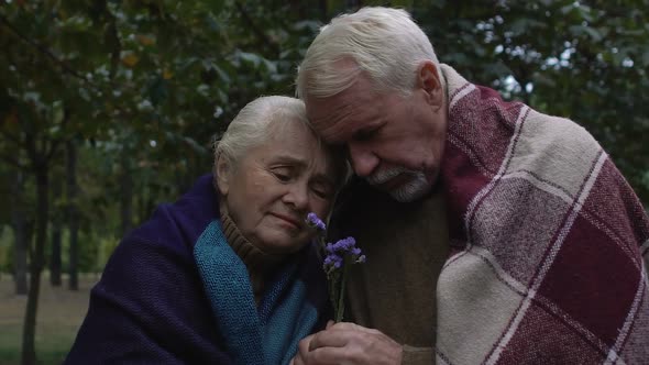 Elderly Upset Couple Wrapped in Plaids Cuddling Holding Flower in Hands, Grief