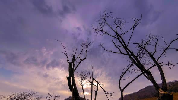 Time Lapse of Death Tree and Dry Yellow Grass at Mountian Landscape with Clouds and Sun Rays alt