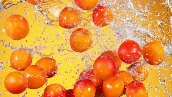 Super Slow Motion Shot of Flying Fresh Apricots and Water Side Splash at 1000 Fps alt