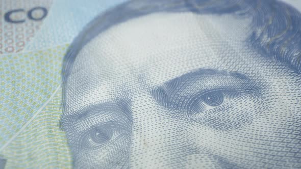 Panning over Veinte Pesos bill alt