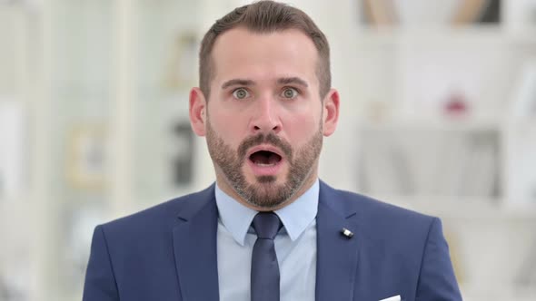 Portrait of Businessman Reacting to Loss Failure alt