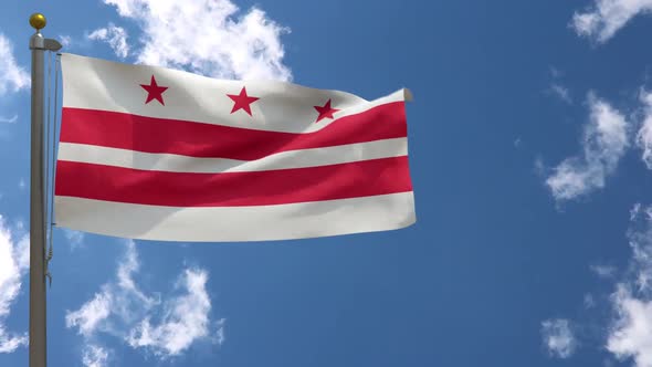 Washington Dc City Flag Virginia (Usa) On Flagpole alt