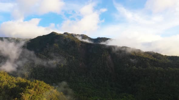 Mountains with Rainforest and Clouds alt