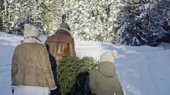Family with Christmas Tree Walking in Forest alt