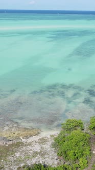 Tanzania  Vertical Video of the Ocean Near the Coast of Zanzibar Slow Motion alt