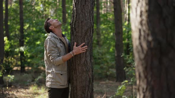 Side View Caucasian Man Standing at Tree Trunk Looking Up in Woodland alt