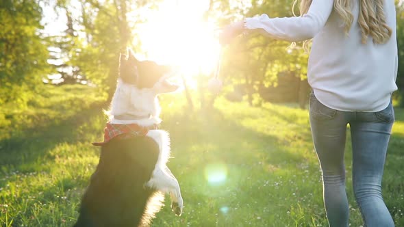 Beautiful Brunette Playing with Dog in Nature During Sunset