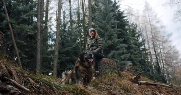 A Fashionable Girl is Sitting Next to a Big Dog in a Frozen Forest