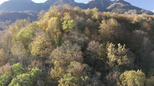 Aerial View Raising Up Over Beautiful Autumn Natural Sunny Mountain Landscape alt