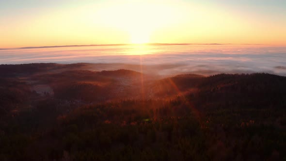 Epic foggy autumn morning forest in the mountains at sunrise. Aerial drone shot.