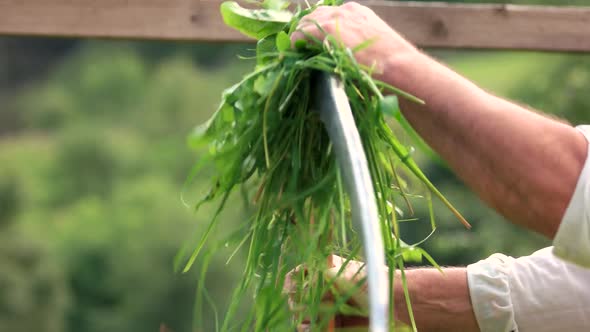 Close Up of Man Holding Scythe alt
