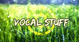 Vocal Stuff