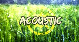 Acoustic