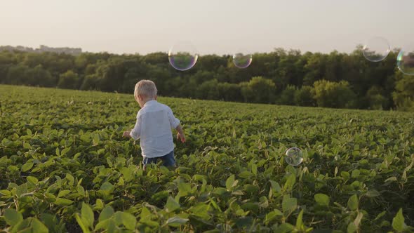 Back View of a Handsome Boy Plays in a Field in the Summer He Catches Blowing Soap Bubbles alt