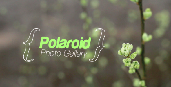 Spring Photo Gallery - VideoHive 7712946