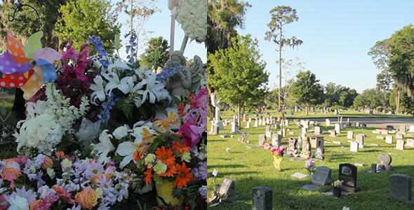 Fresh Grave In Cemetery
