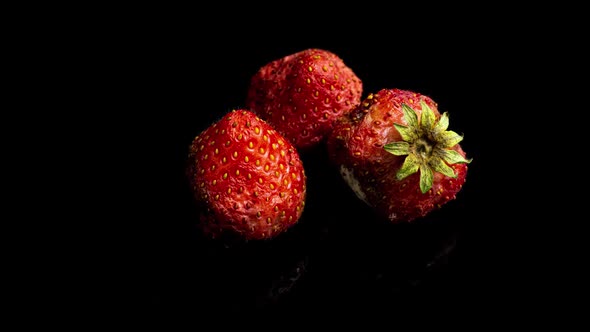 Strawberry Rots on a Black Background Time Lapse Macro Photography alt