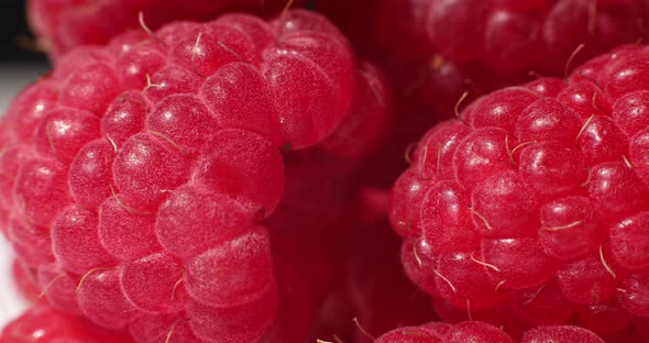 Fresh Raspberries