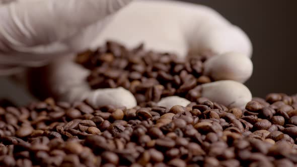 View Roasted Coffee Grains on Palm in White Gloves Close Up alt