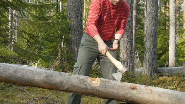 Woodcutter Cuts The Tree With An Axe. Male Tourist Chopping Wood With An Axe. 