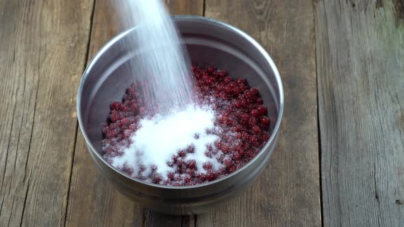 Sip Sugar Into a Bowl with Red Currants alt