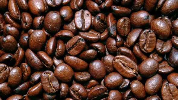 Roasted coffee bean. Fragrant coffee beans scrolls slowly around the camera.Top view