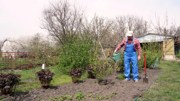 Male Farmer in Plaid Shirt and Garden Overalls Watering Currants Bush, Plants at Backyard, in Garden alt