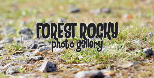 Forest Rocky Photo - VideoHive 7724075