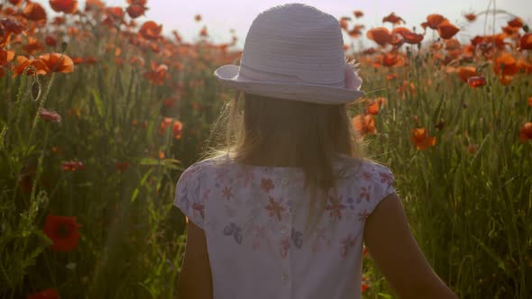 Little Girl Walking Through a Poppy Field
