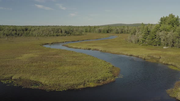 River meandering through flood plain into distance lush green environment Aerial alt