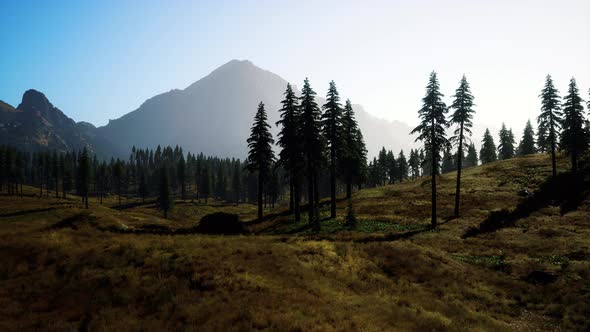Aerial View Over Mountain Range with Pine Forest in Bavaria alt