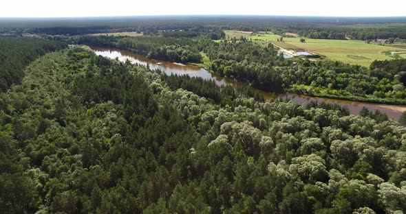 4K - View of the forest river. scene 01 alt