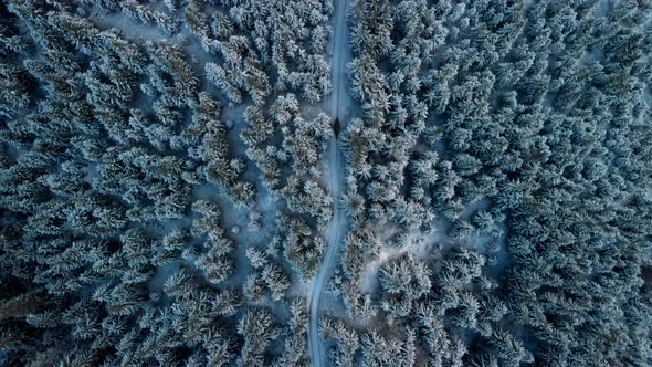 Drone Flying Along Mountain Road in Winter Forest