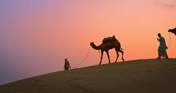 Indian Cameleers (Camel Driver) Bedouin with Camel Silhouettes in Sand Dunes of Thar Desert alt