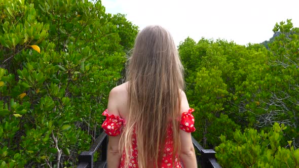 Back View of Young Woman in Dress Walking Along Wooden Path Among Green Trees alt