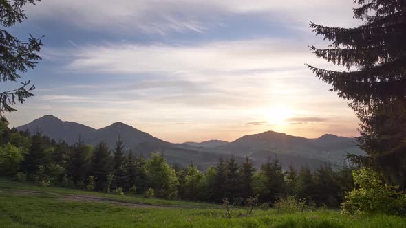 Sunset in Carpathian Mountain Landscape Green Trees in Spring Forest