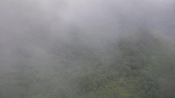 Slow motion landscape view of greenery rainforest mountains on foggy day