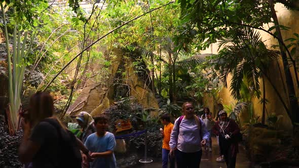 VideoHive Tourists Travel 20402332 VideoHive Tourists Travel 20402332