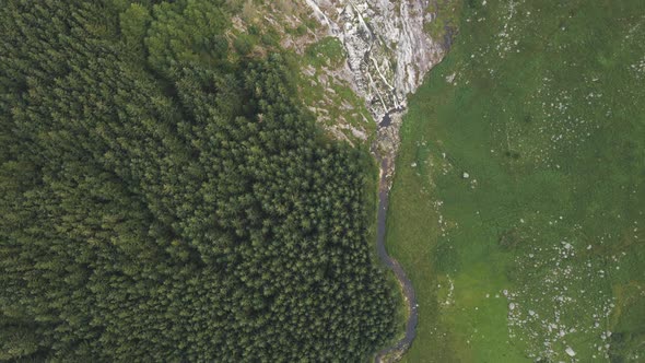 Top-down View Of Dense Coniferous Trees In The Mountain Forest Of Wicklow, Ireland With Majestic Wat alt