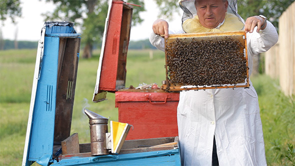 Beekeeper with Honeycombs